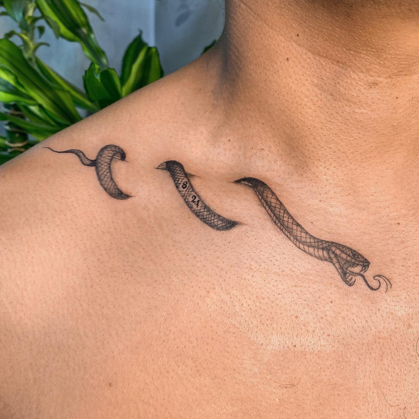 Amazing Snake Tattoo Designs Their Meanings Alexie