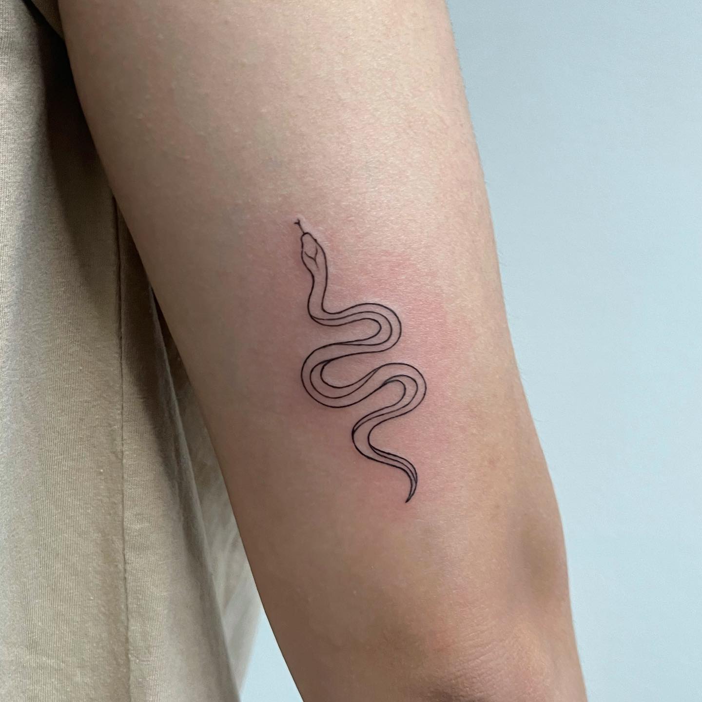 Amazing Snake Tattoo Designs Their Meanings Alexie