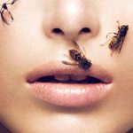 bees on models face