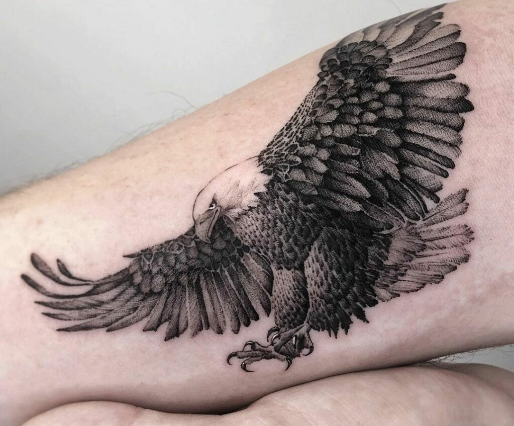 Find Your Dream Eagle Tattoos! (26 Ideas) | Inkbox™