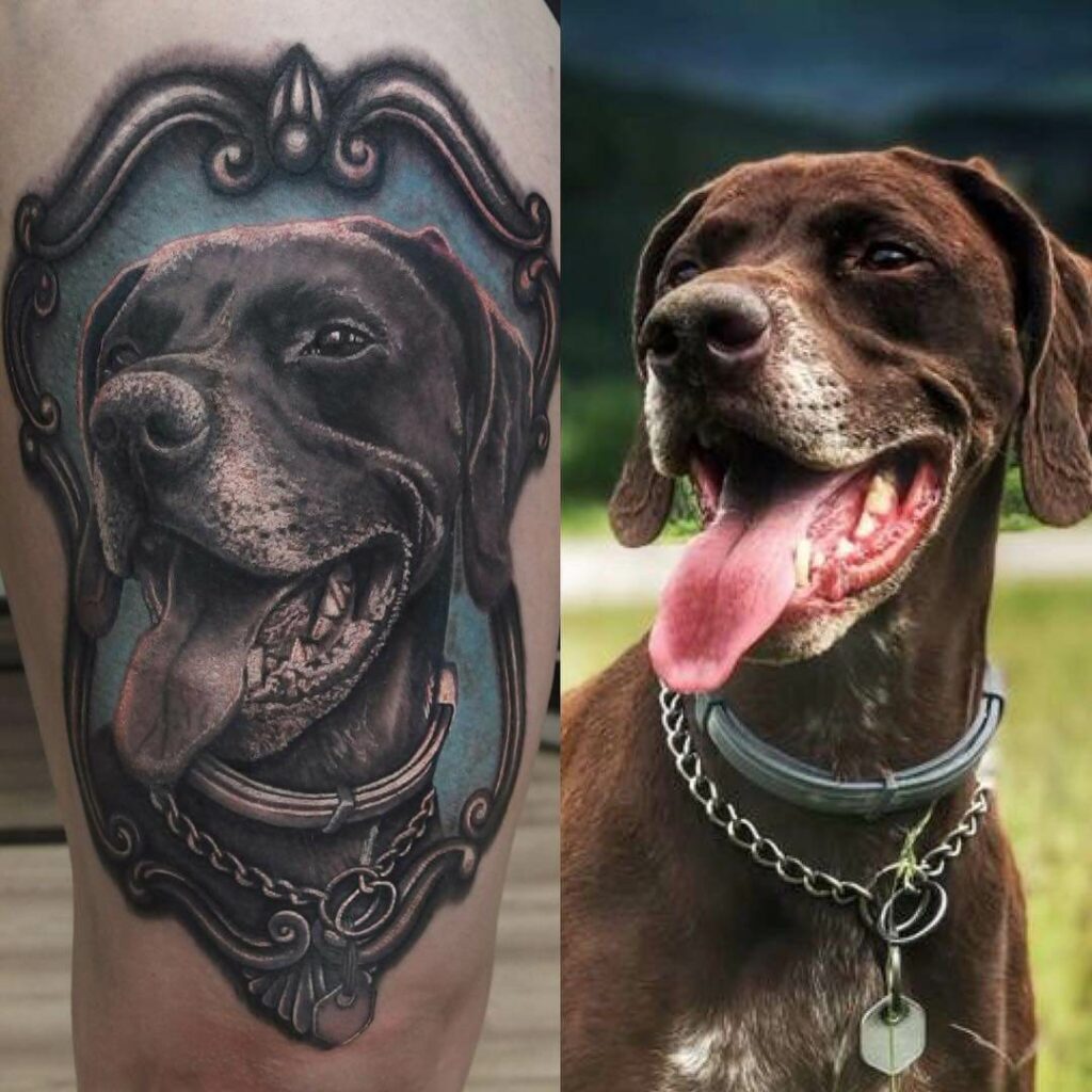 Framed German Shorthaired Pointer Dog Tattoo