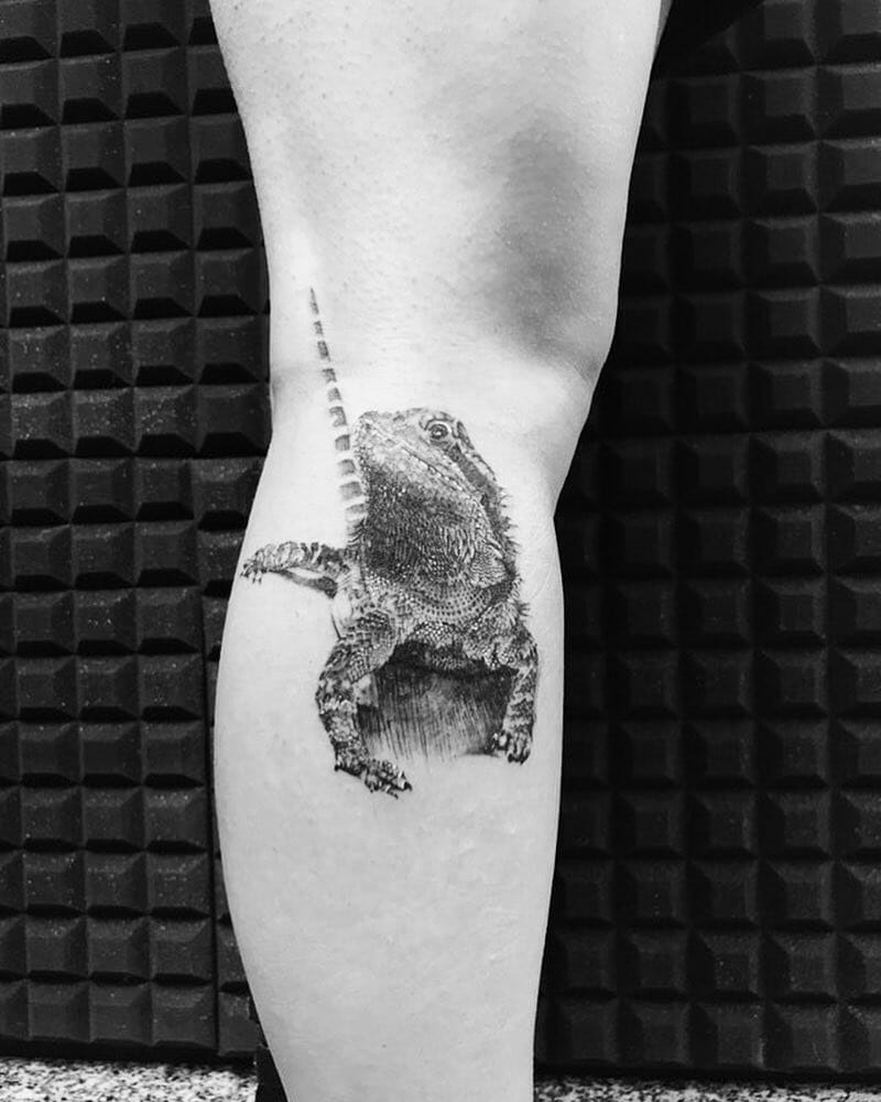 18 Bearded Dragon Tattoo Ideas To Inspire You  alexie