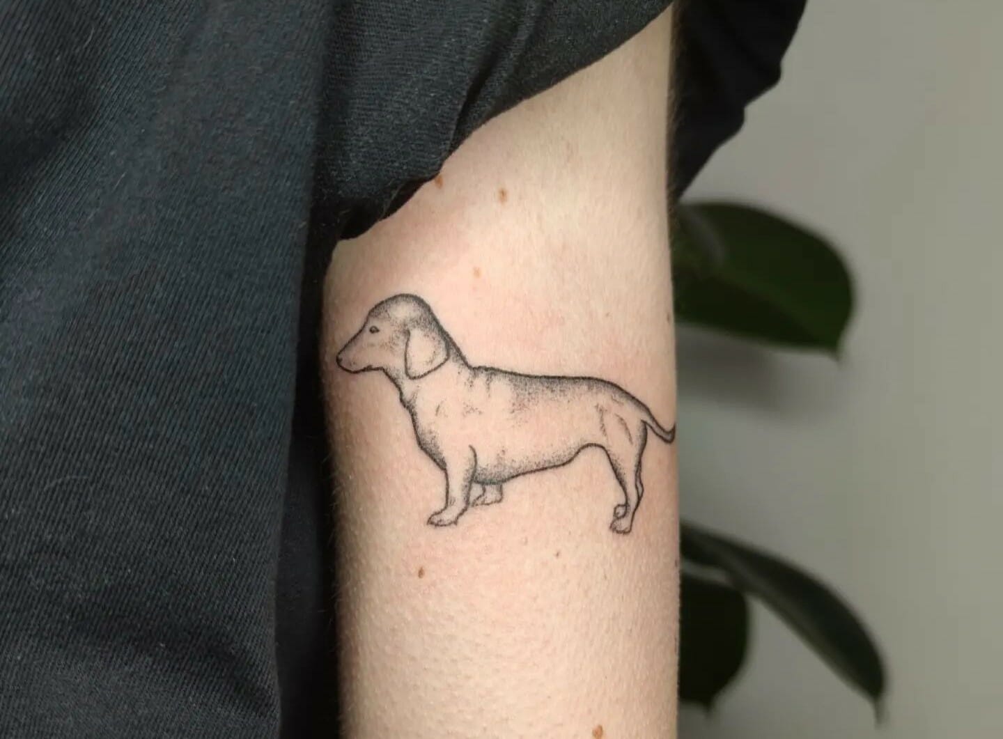 11+ Wiener Dog Tattoo Ideas That Will Blow Your Mind! - alexie