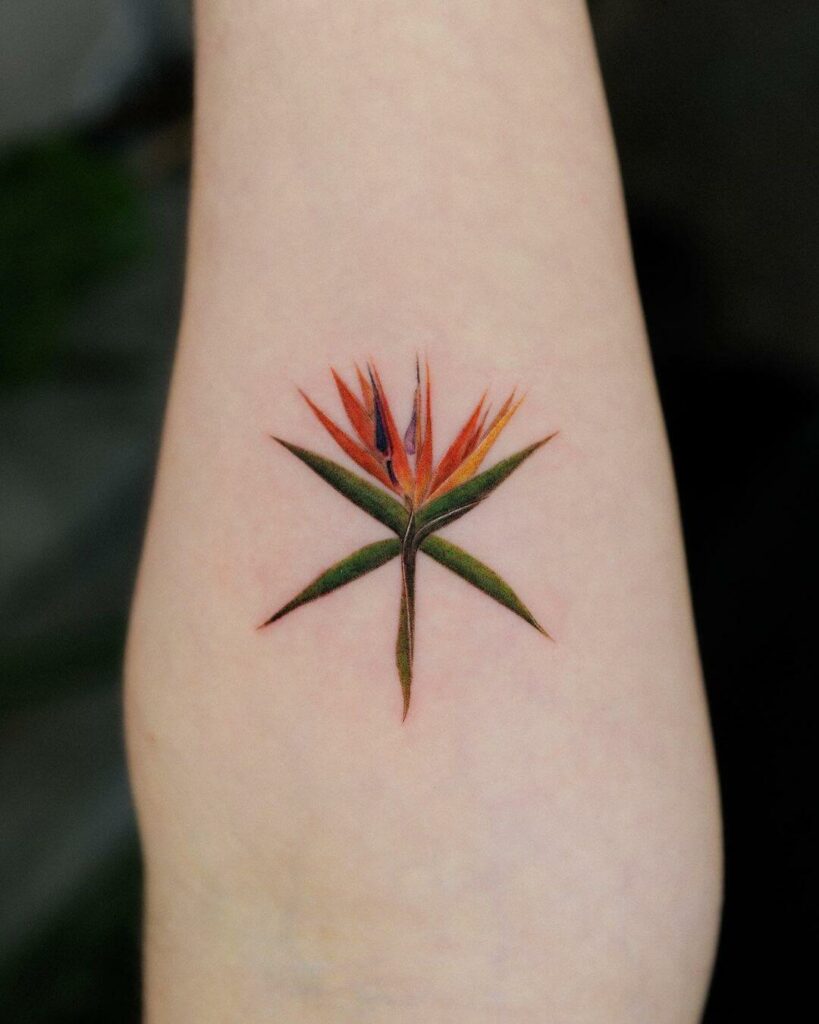 Aquarius Flower Tattoo