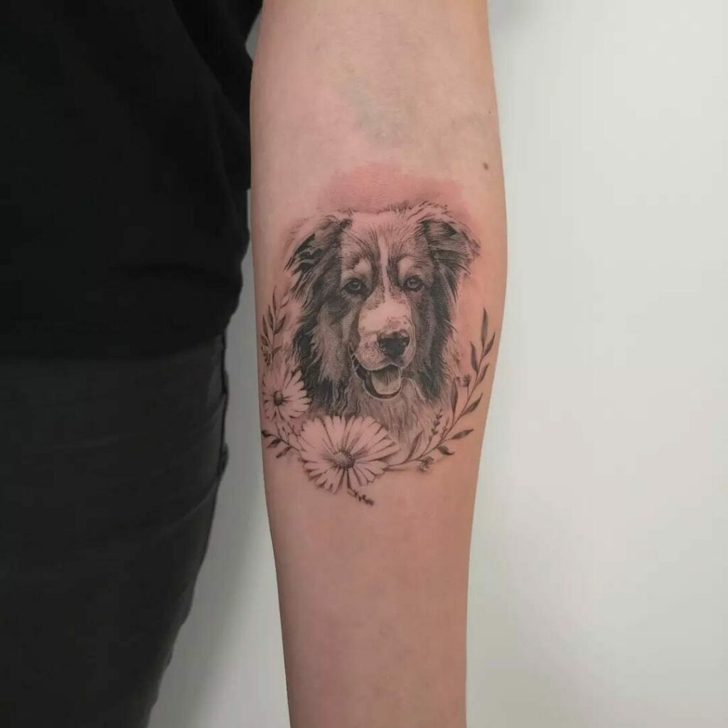 The 25 Cutest Australian Shepherd Dog Tattoos Ever  The Paws