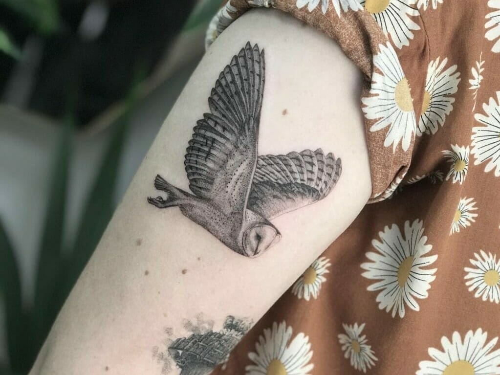 Update more than 76 small owl tattoos latest  thtantai2