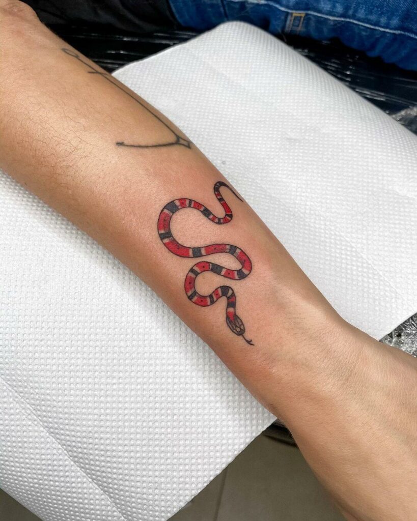 Snake Tattoos What Do They Really Mean  Sorry Mom  Sorry Mom Shop