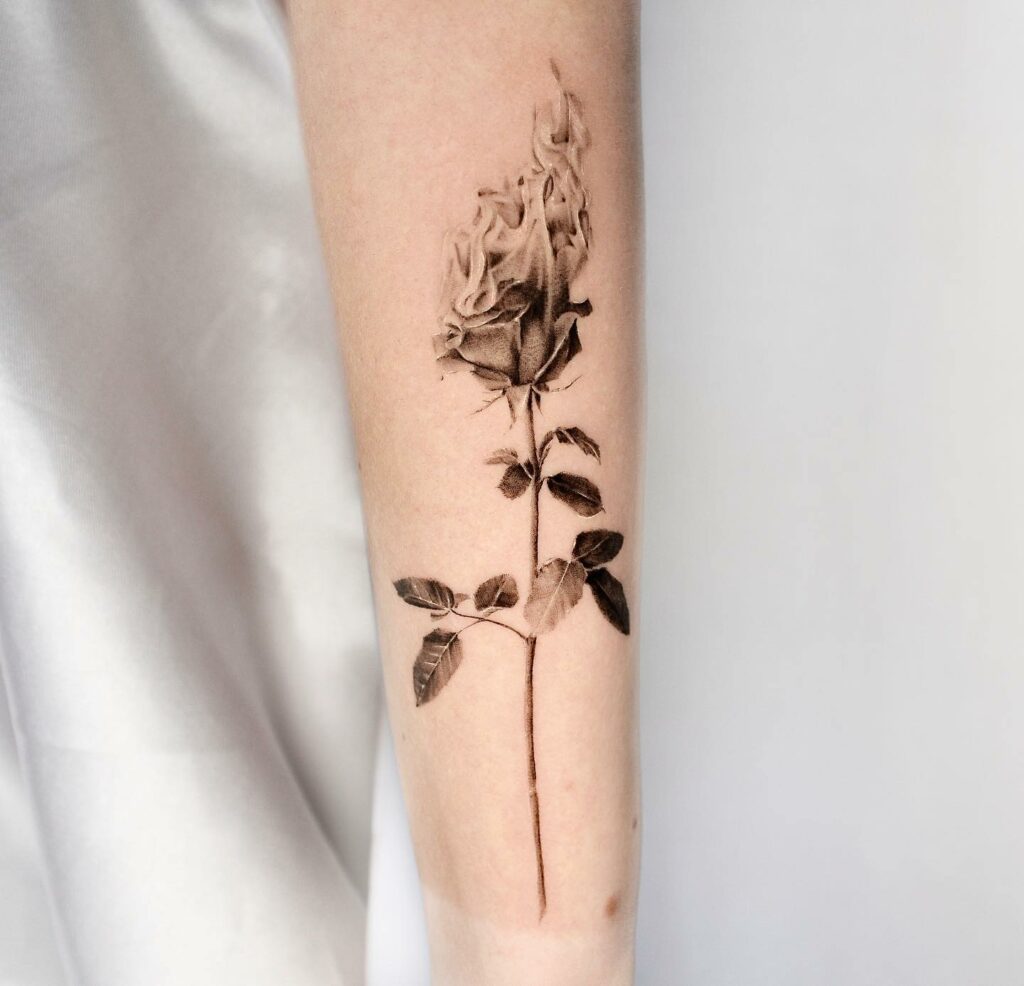 Elaborate Chiaroscuro Tattoos by Makkala Rose Burst With Ripe Fruit and  Blossoming Flowers  Colossal