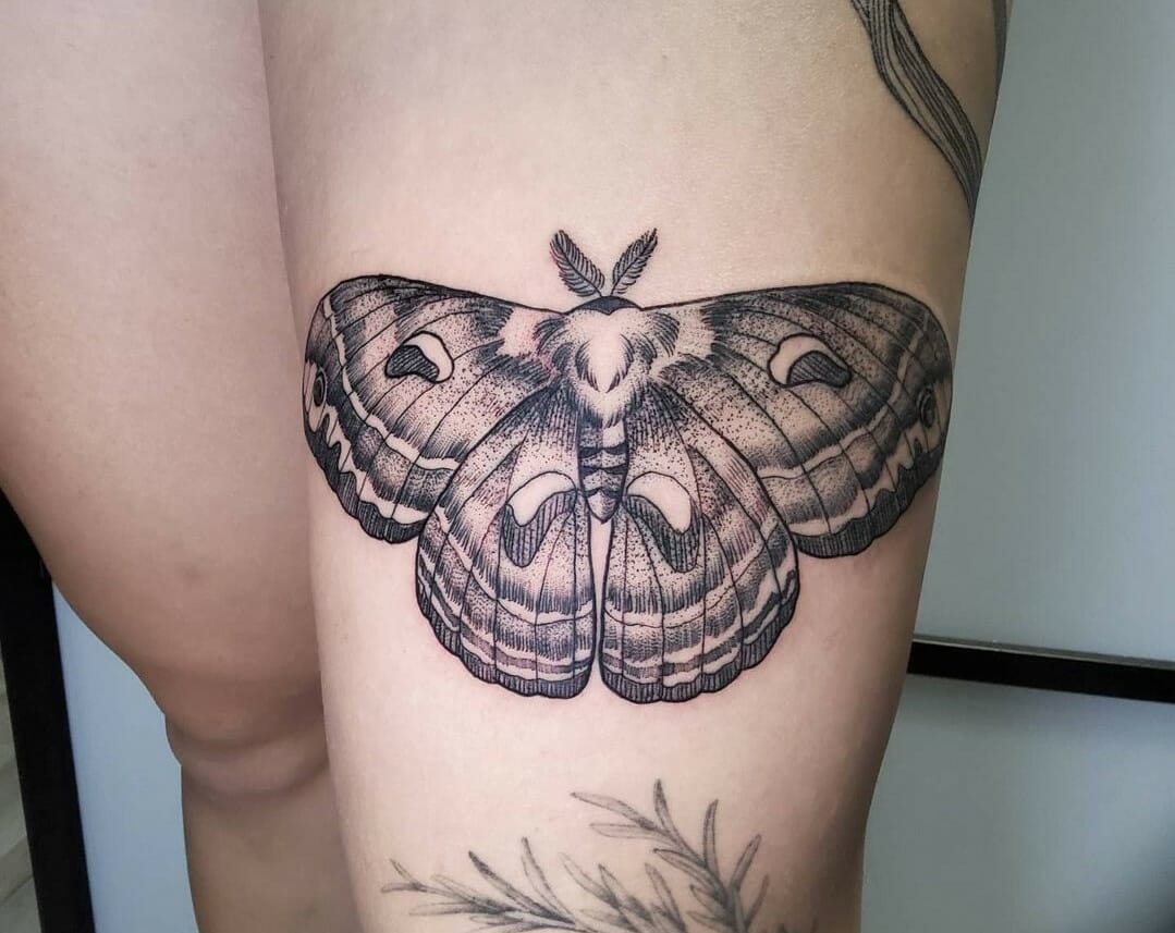 11+ Cecropia Moth Tattoo Ideas That Will Blow Your Mind! - alexie