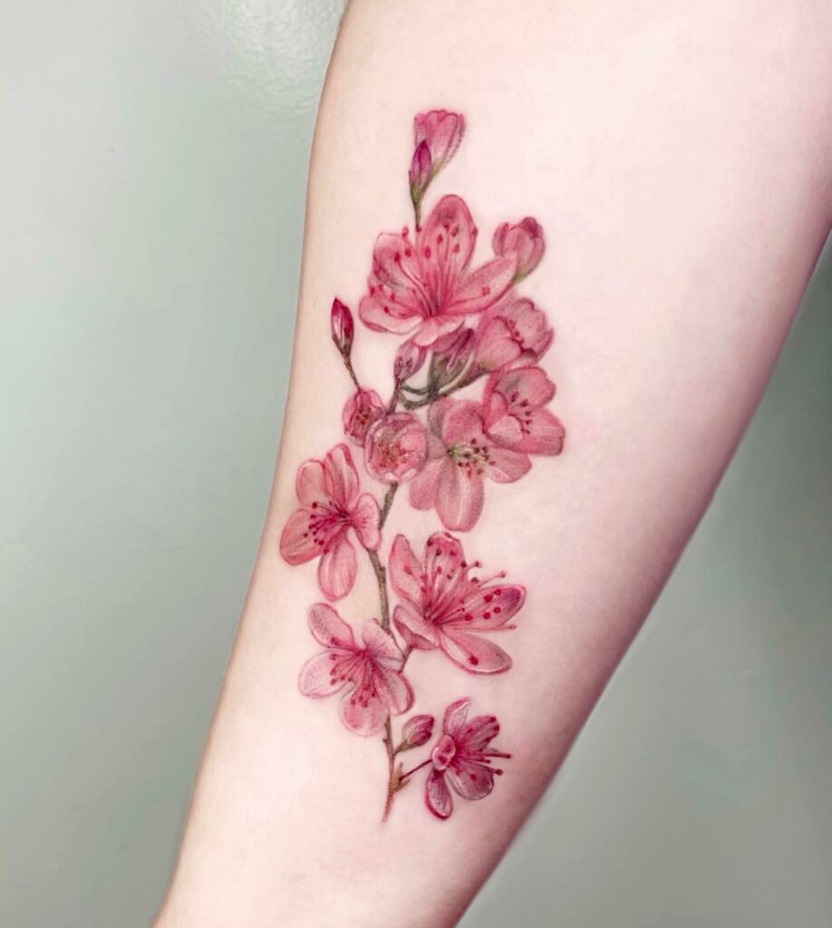 Cherry Blossom Tattoo Meaning  What do Cherry Flower Tattoos Symbolize
