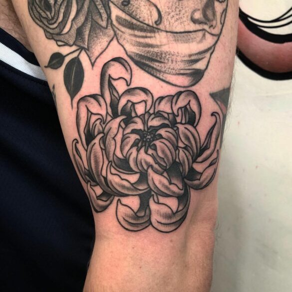 Chrysanthemum Tattoo