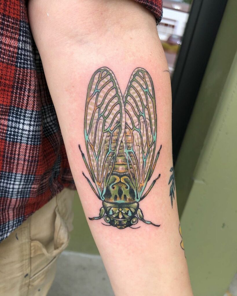 11+ Cicada Tattoo Ideas You'll Have To See To Believe! alexie