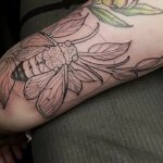 Cicada Tattoos
