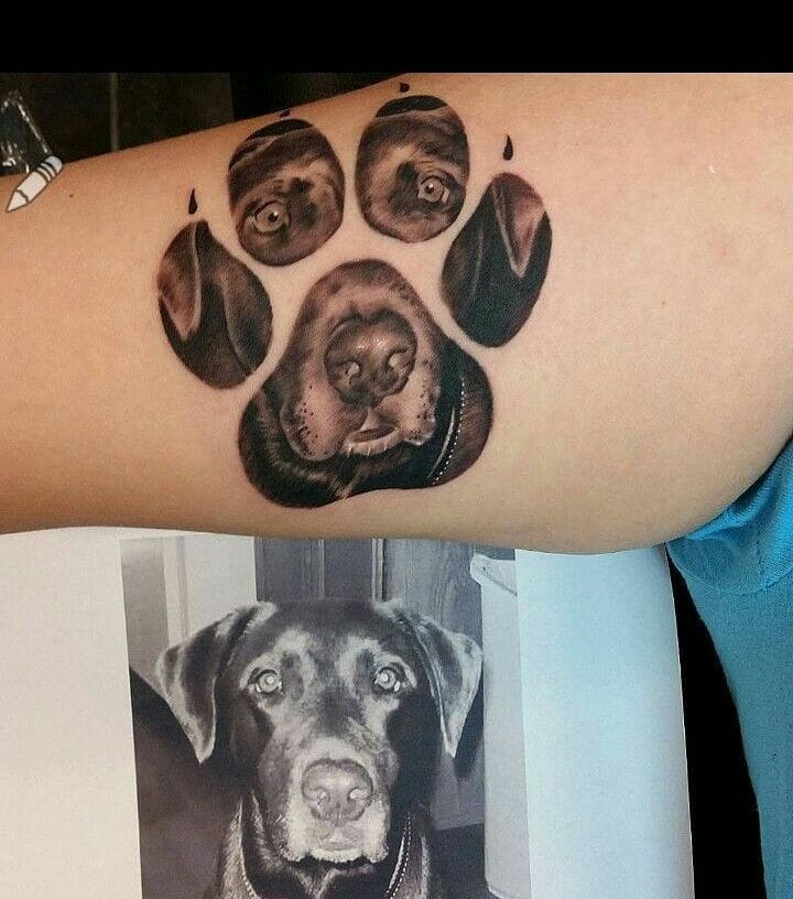 Dog Tattoo