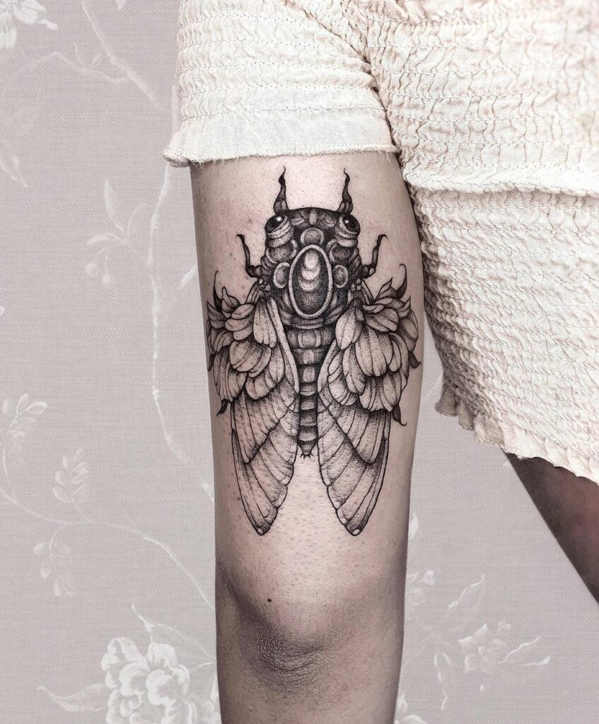 Elaborate Cicada Tattoo