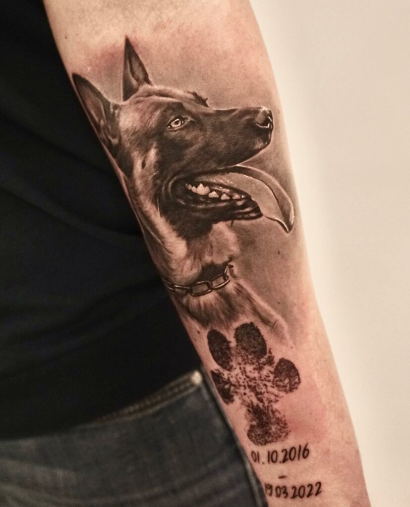 30 Cool German Shepherd Tattoo Designs for Men 2023 Guide