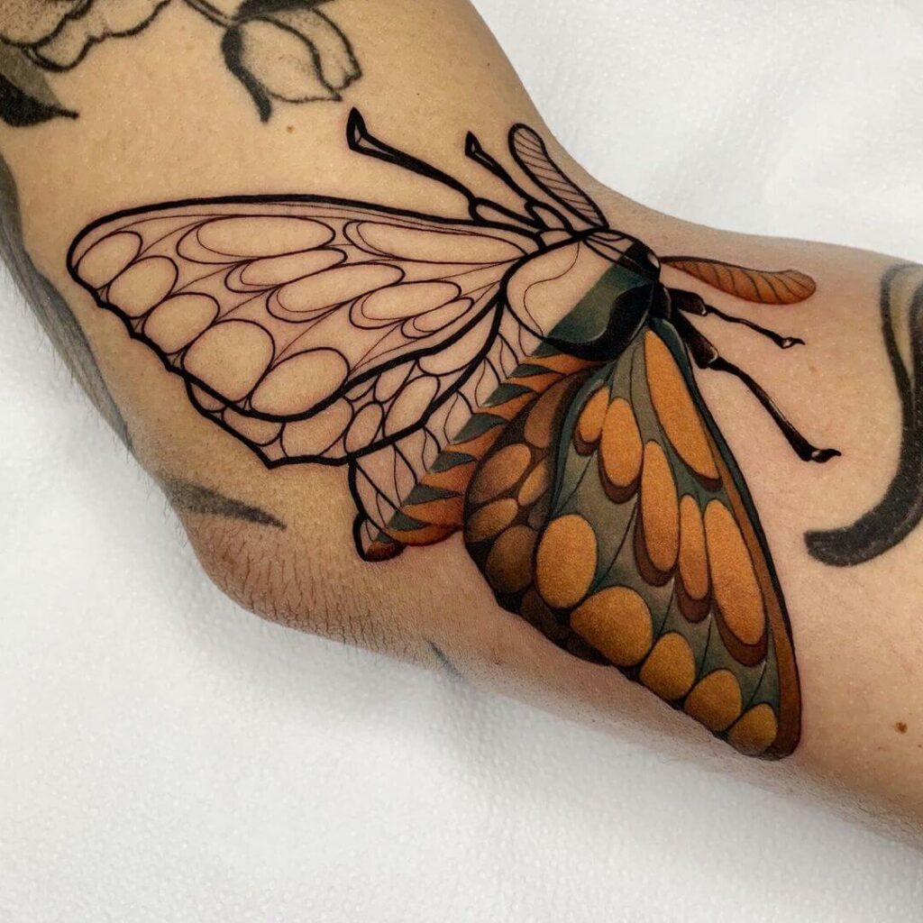 Half-And-Half Crazy Moth Tattoos