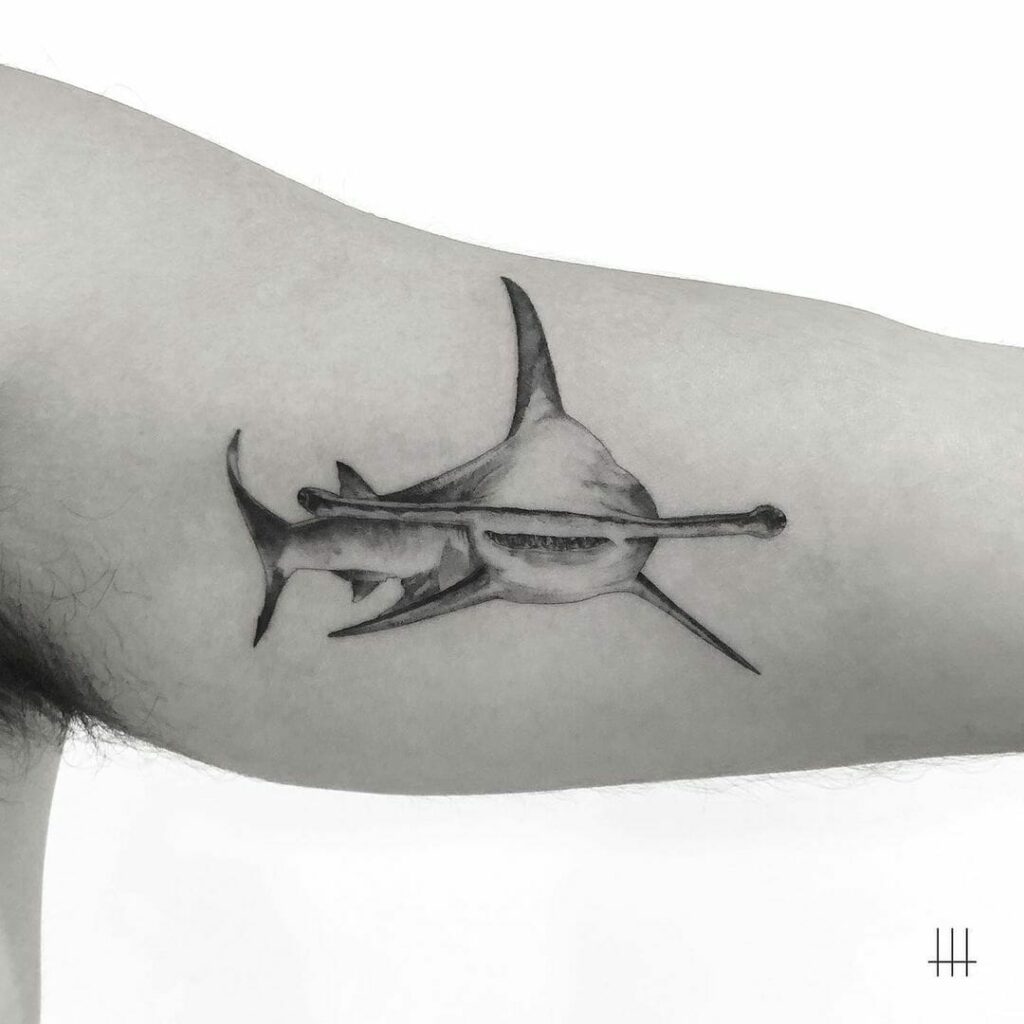 Hammerhead Shark Tattoo Drawing