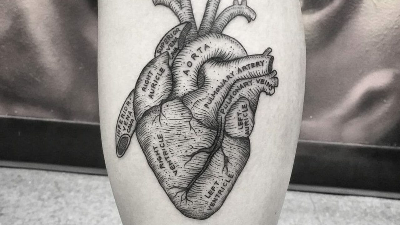 Greys Anatomy Quotes Tattoos QuotesGram