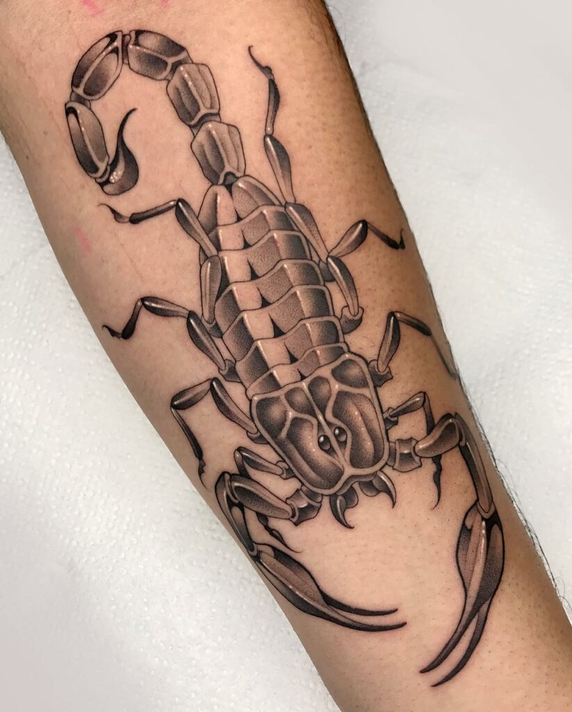 11+ Scorpion Tattoo Outline Ideas That Will Blow Your Mind!