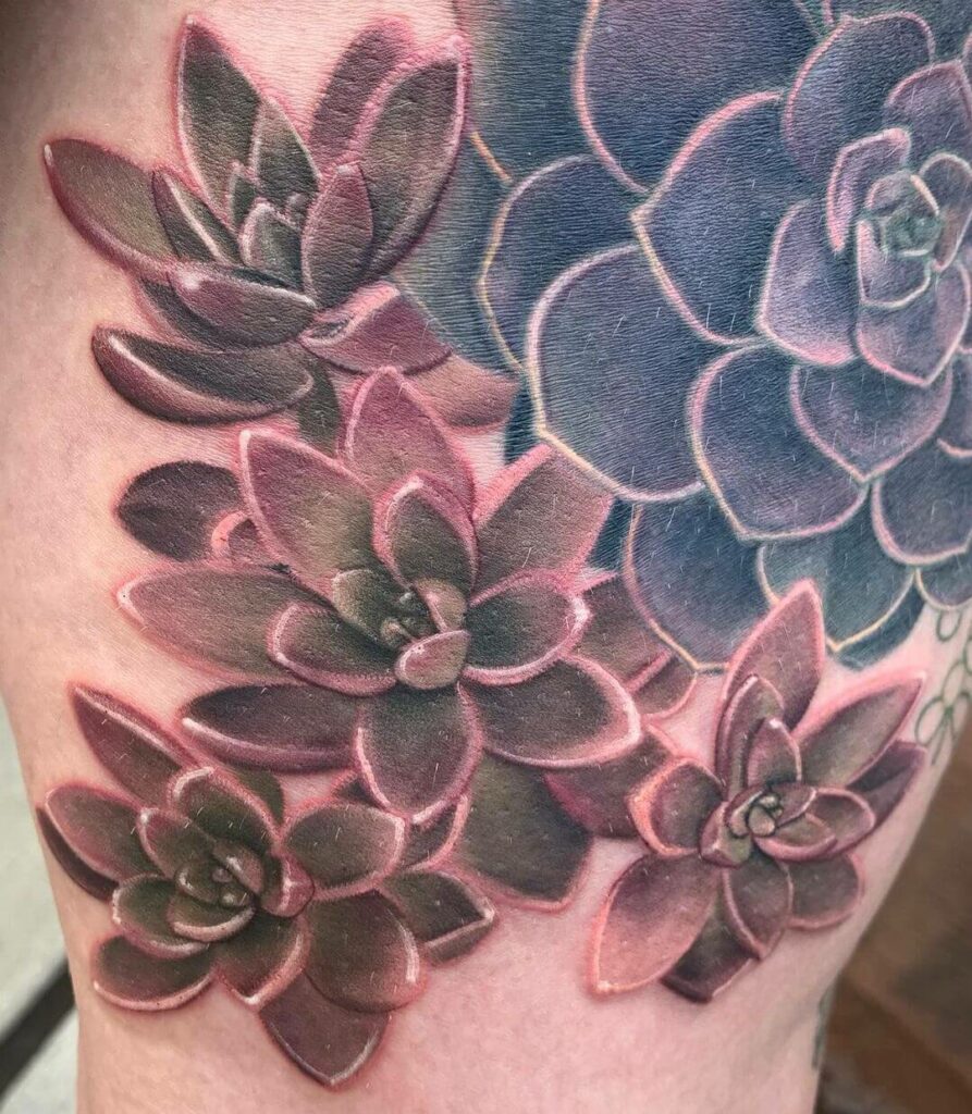 Tanane Whitfield on Instagram Work in progress on this succulents sleeve  Im looking forward to doing more plant tattoos in the future Thanks for  checking it What