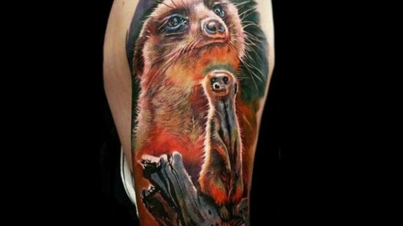 11+ Mongoose Tattoo Ideas That Will Blow Your Mind! - alexie