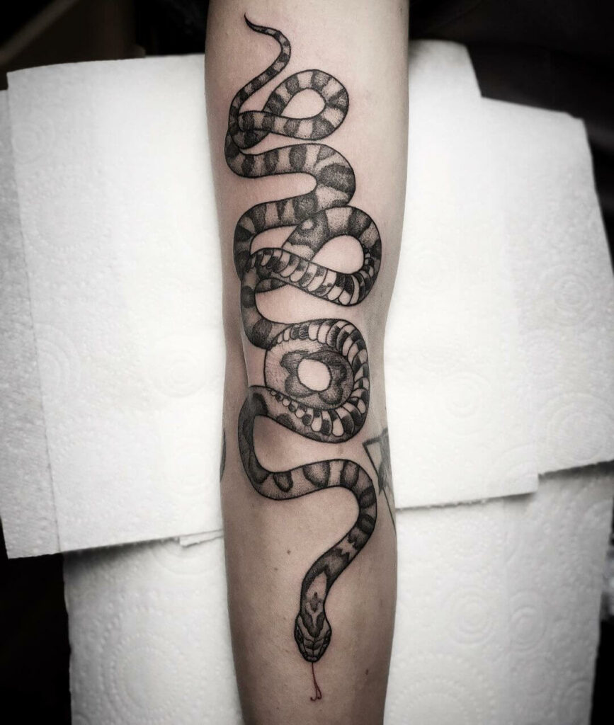 Neo-Traditional Coiled Snake Tattoo