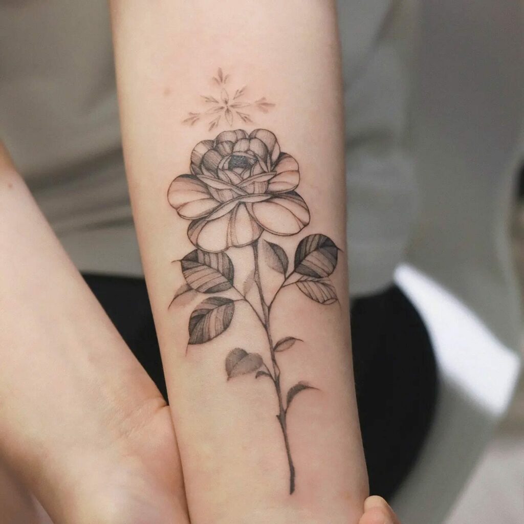 11+ Outline Stencil Rose Tattoo Drawing