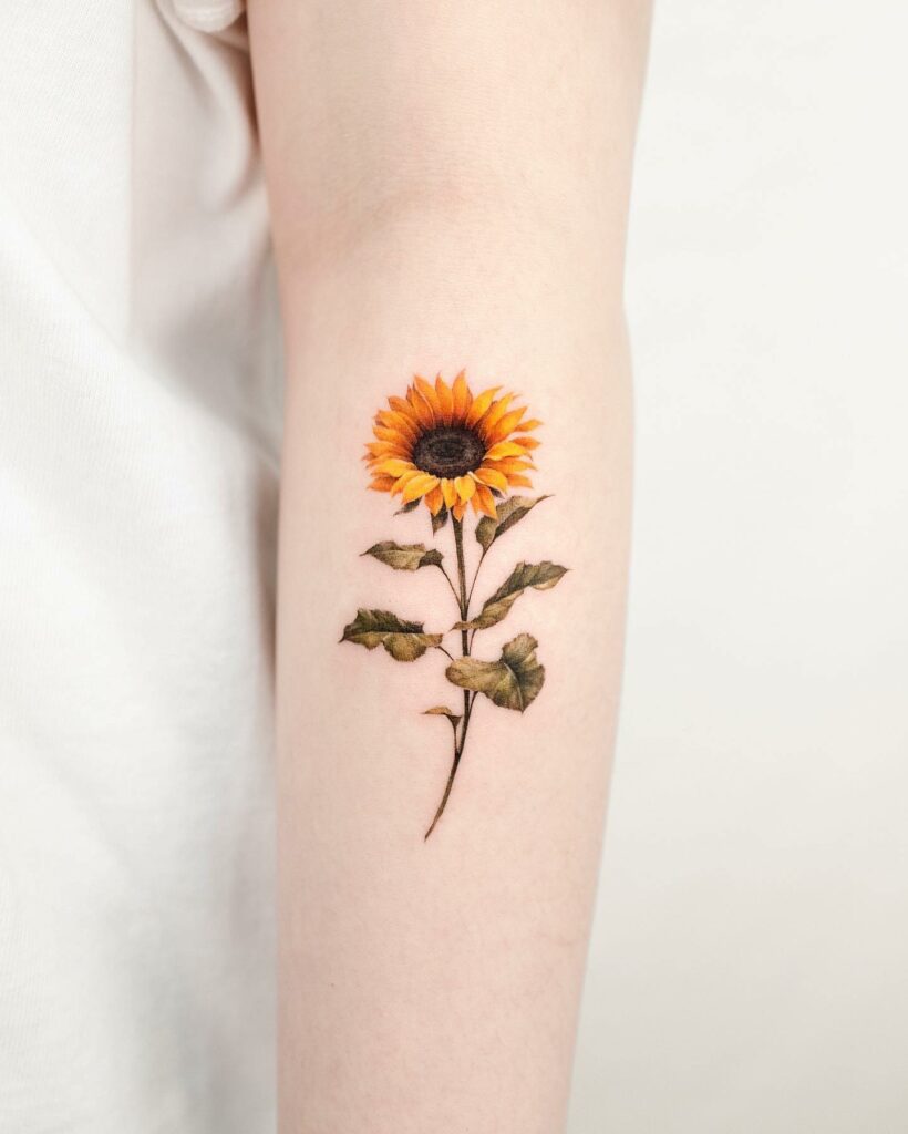 Simply Inked Butterfly Semi Permanent Tattoo Designs Butterfly  Sunflower  Tattoo  Amazonin Beauty
