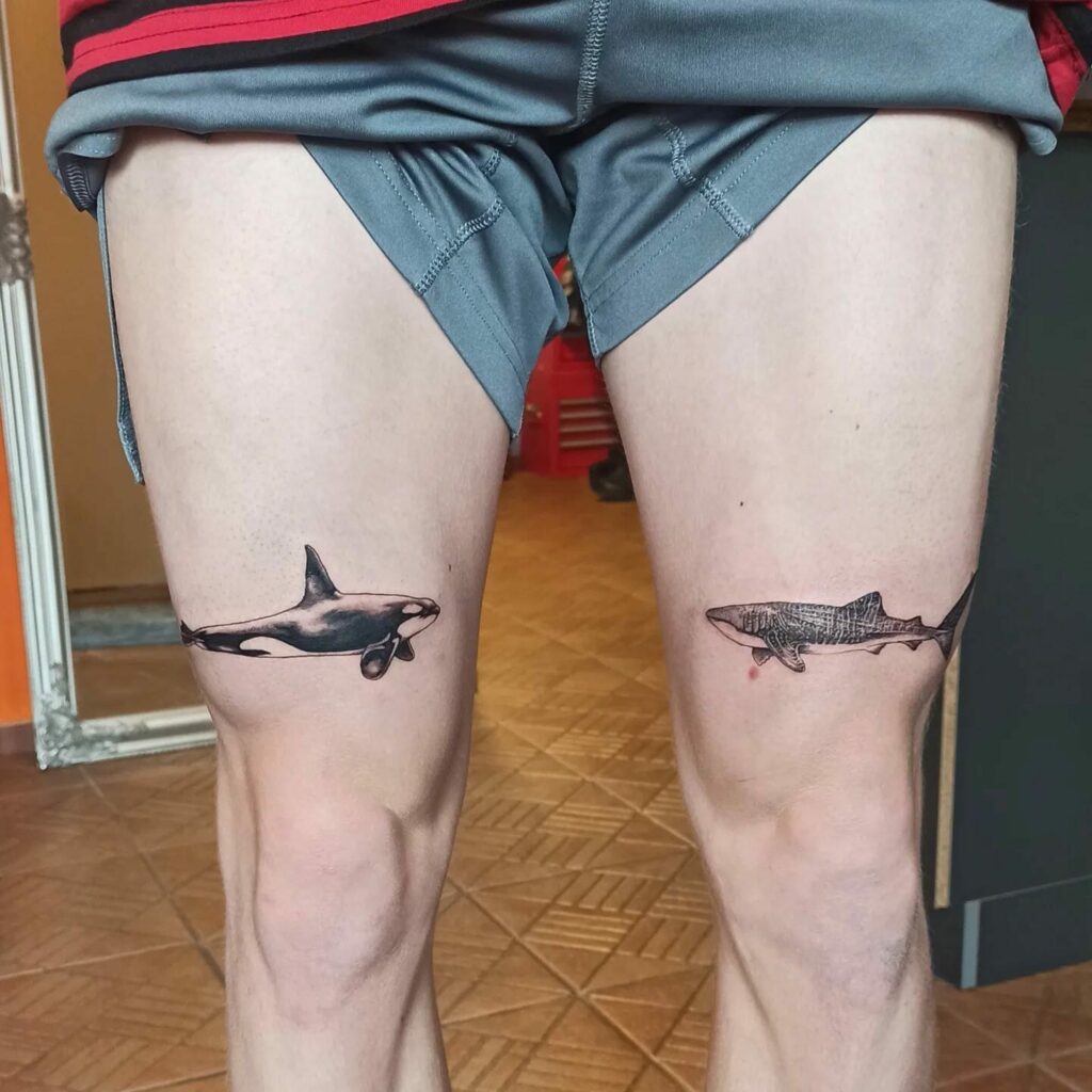 Shark Tattoos On Both The Knees