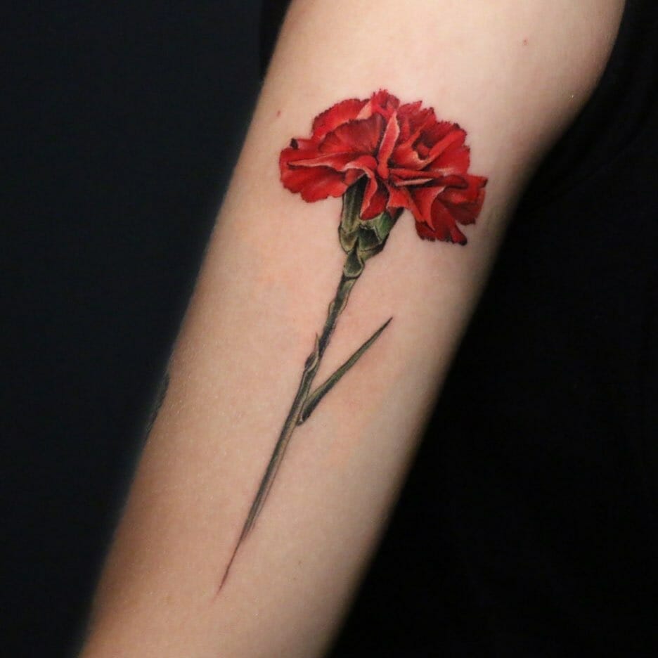 30 Carnation Tattoos to Honor the January Birth Flower  100 Tattoos