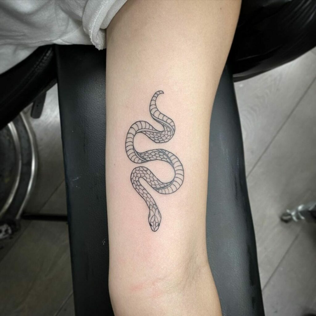 Keep it simple and get a simple snake tattoo