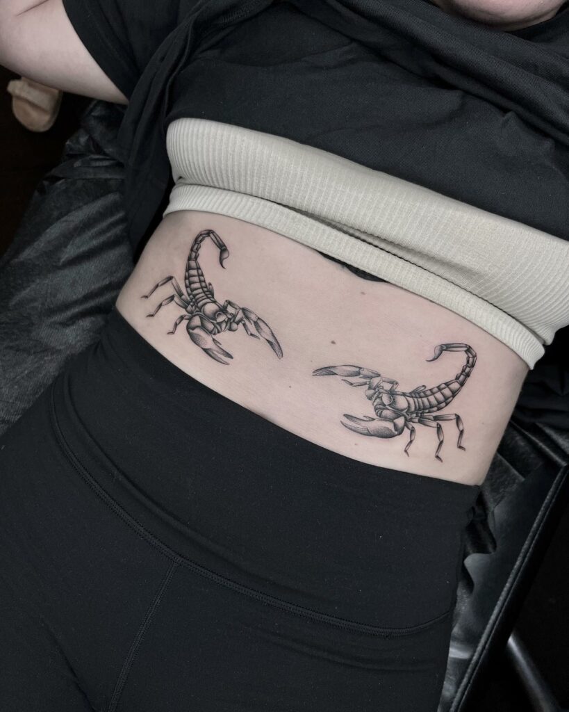 Stomach Two Scorpion Tattoo Outline Designs