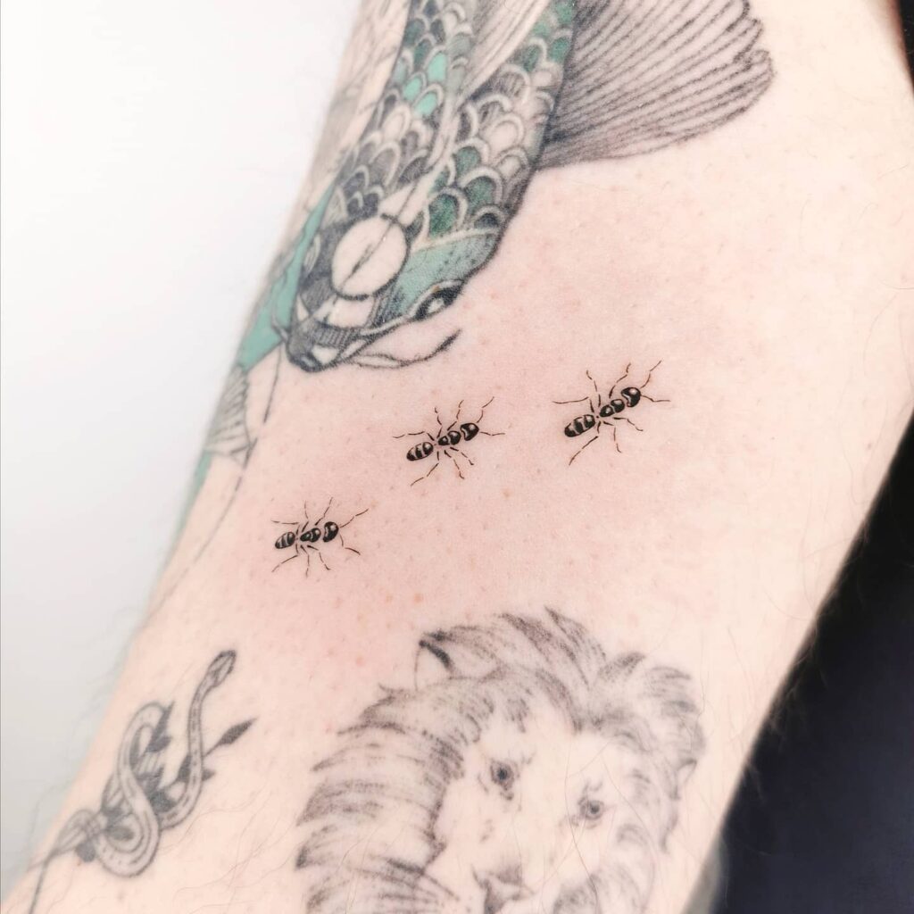 50 Amazing Ant Tattoos with Meanings  Body Art Guru