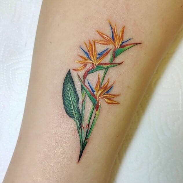 11 Aquarius Flower Tattoo Ideas That Will Blow Your Mind  alexie