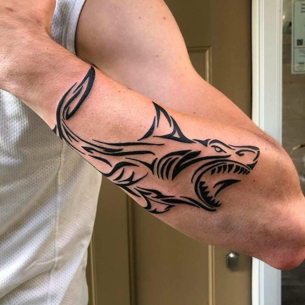 Shark Tattoo  meaning photos sketches and examples