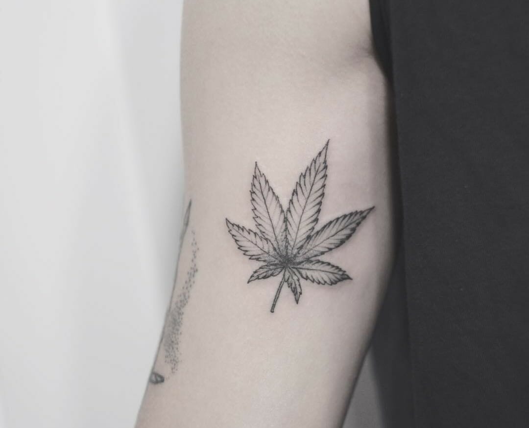 Buy Supperb Temporary Tattoos 12 Black Green Cannabis Leaf Weed Online in  India  Etsy