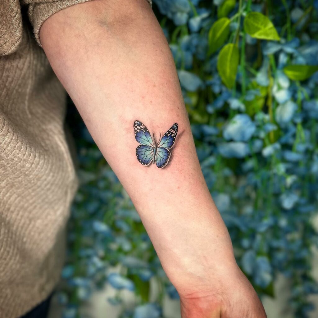 Realistic Butterfly