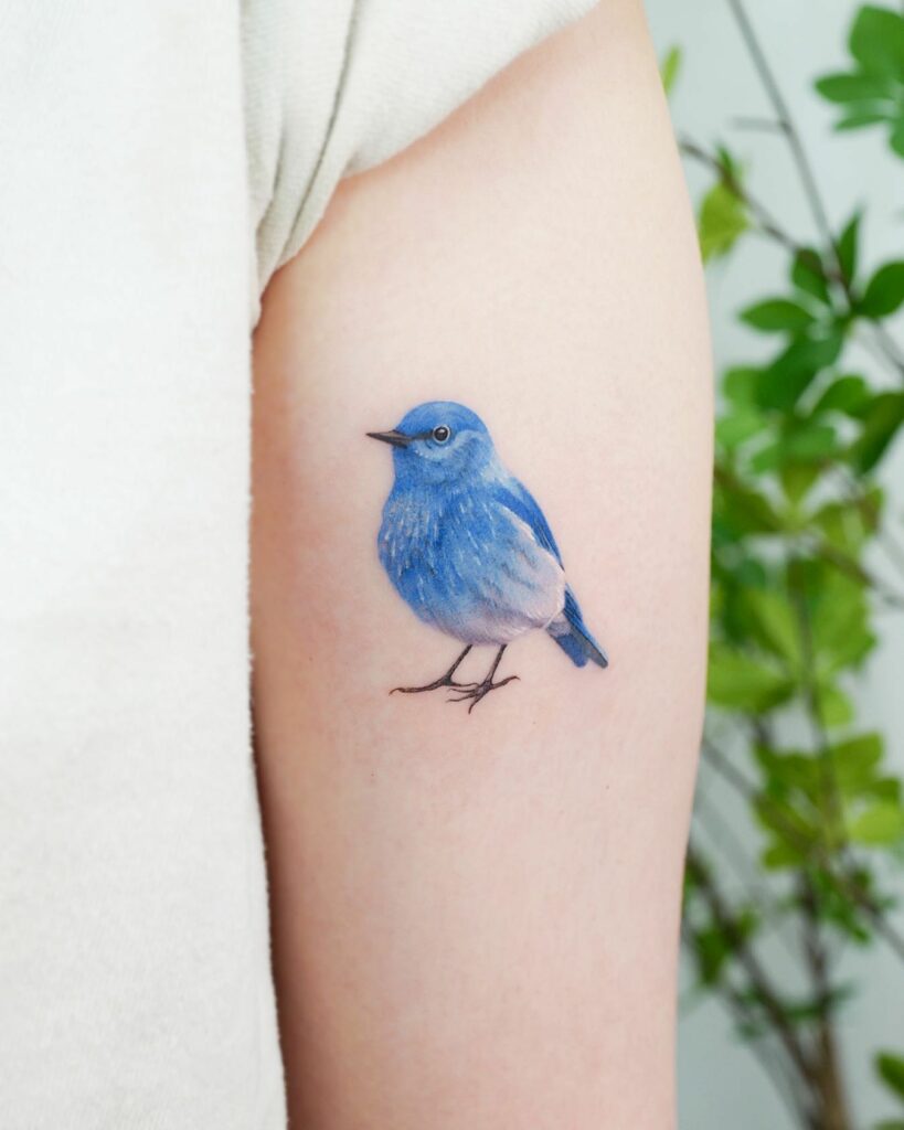 The Blue Bird of Fall