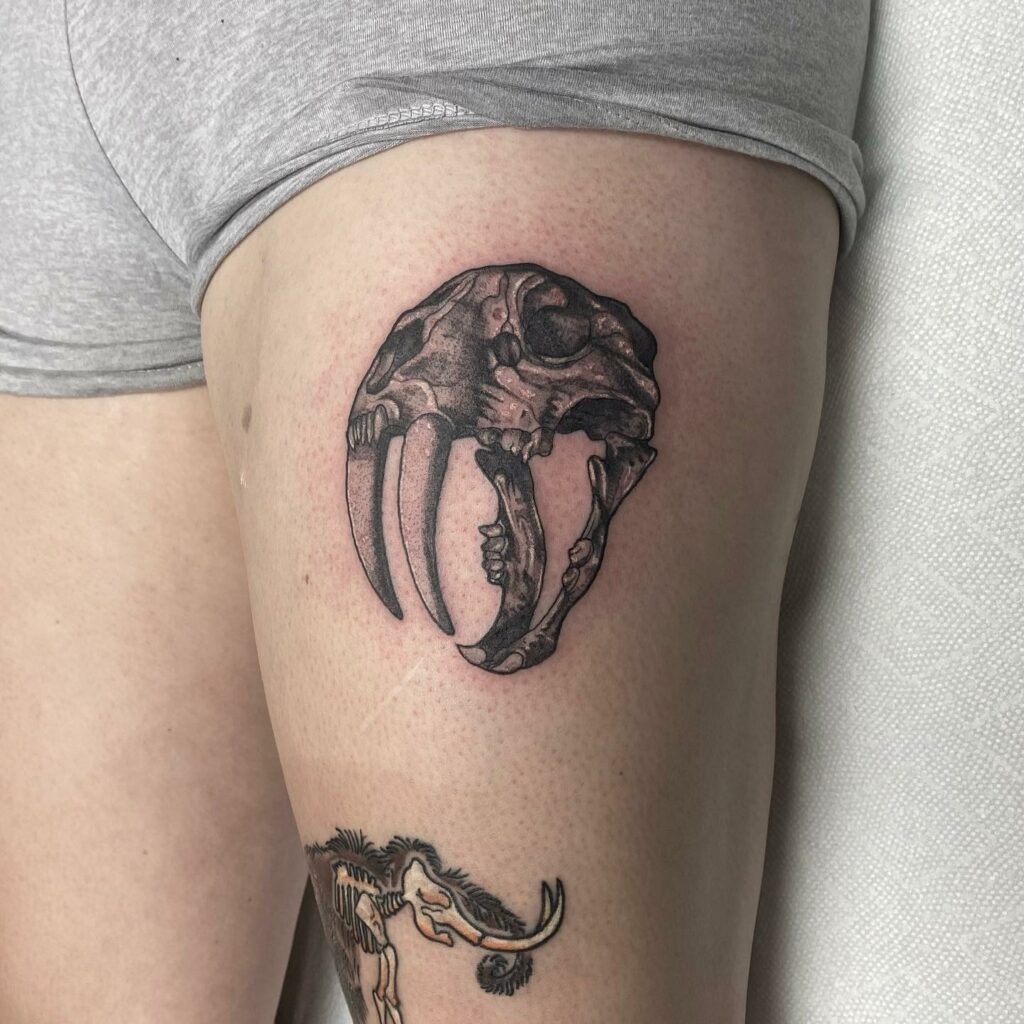 Saber Tooth Tiger Skull Tattoo