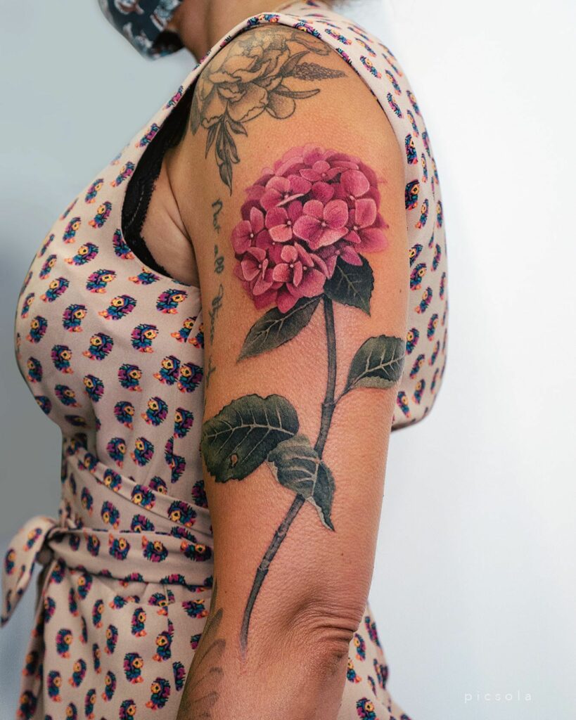 Hydrangea Tattoo 
