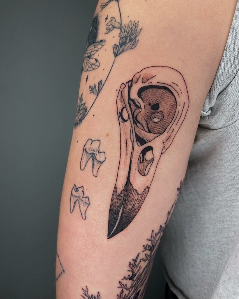 Raven Skull Tattoos