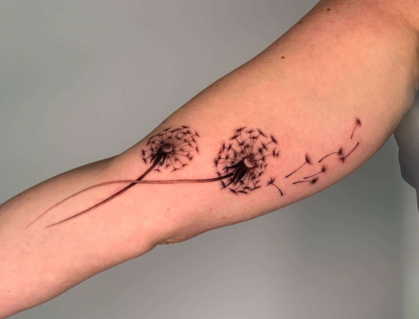 DANDELION TATTOO MEANINGS & INSPIRING DESIGNS YOU NEED TO SEE IN 2023 - alexie