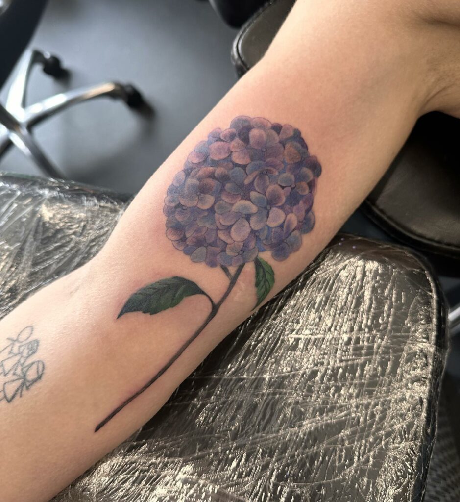 Hydrangea tattoo on the shoulder  Tattoogridnet