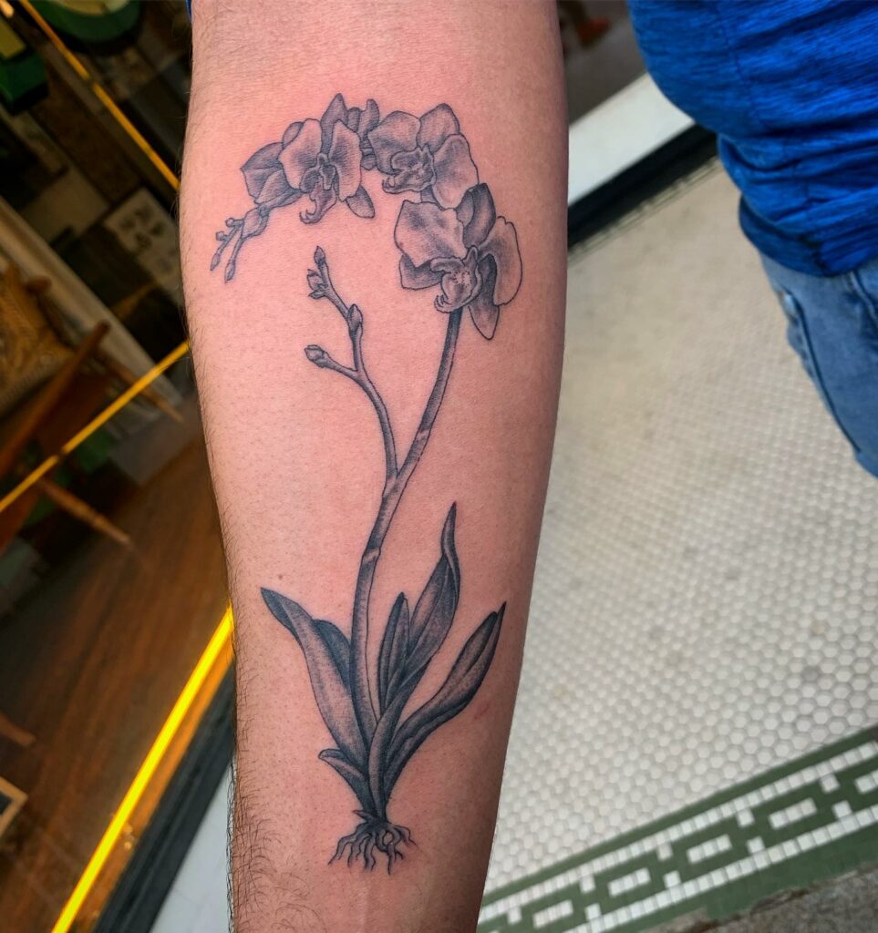 Orchid Vine Tattoos