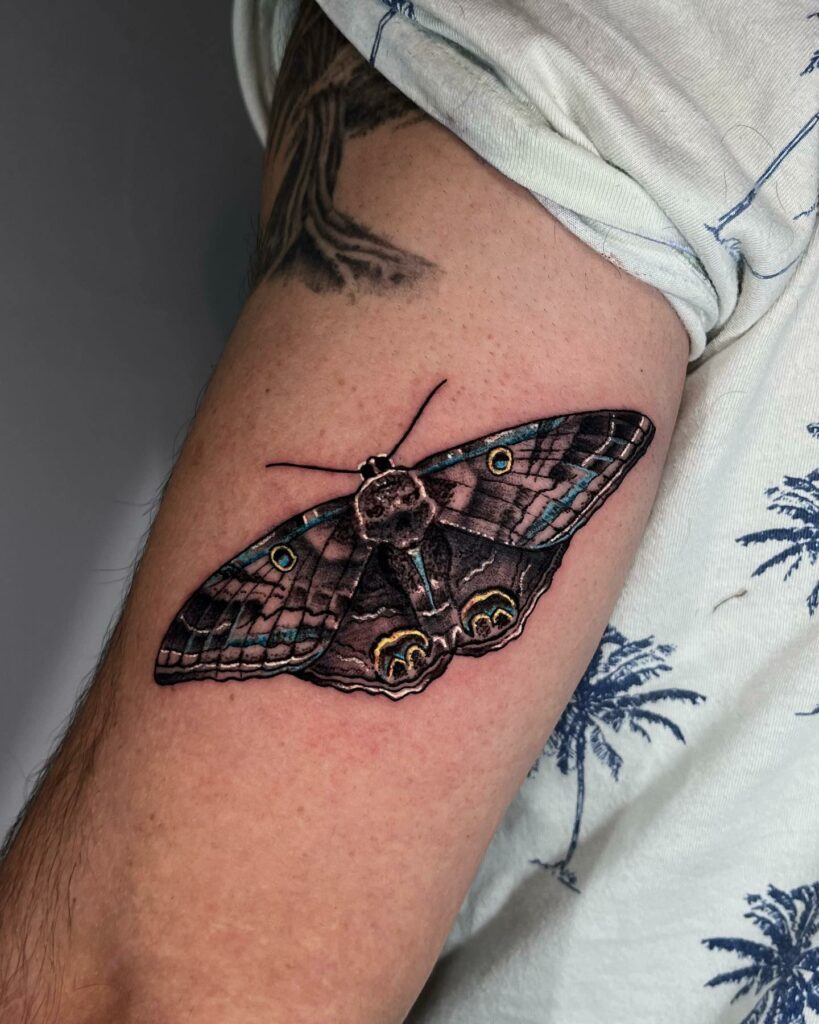 Moth Tattoo Images Browse 12403 Stock Photos  Vectors Free Download with  Trial  Shutterstock