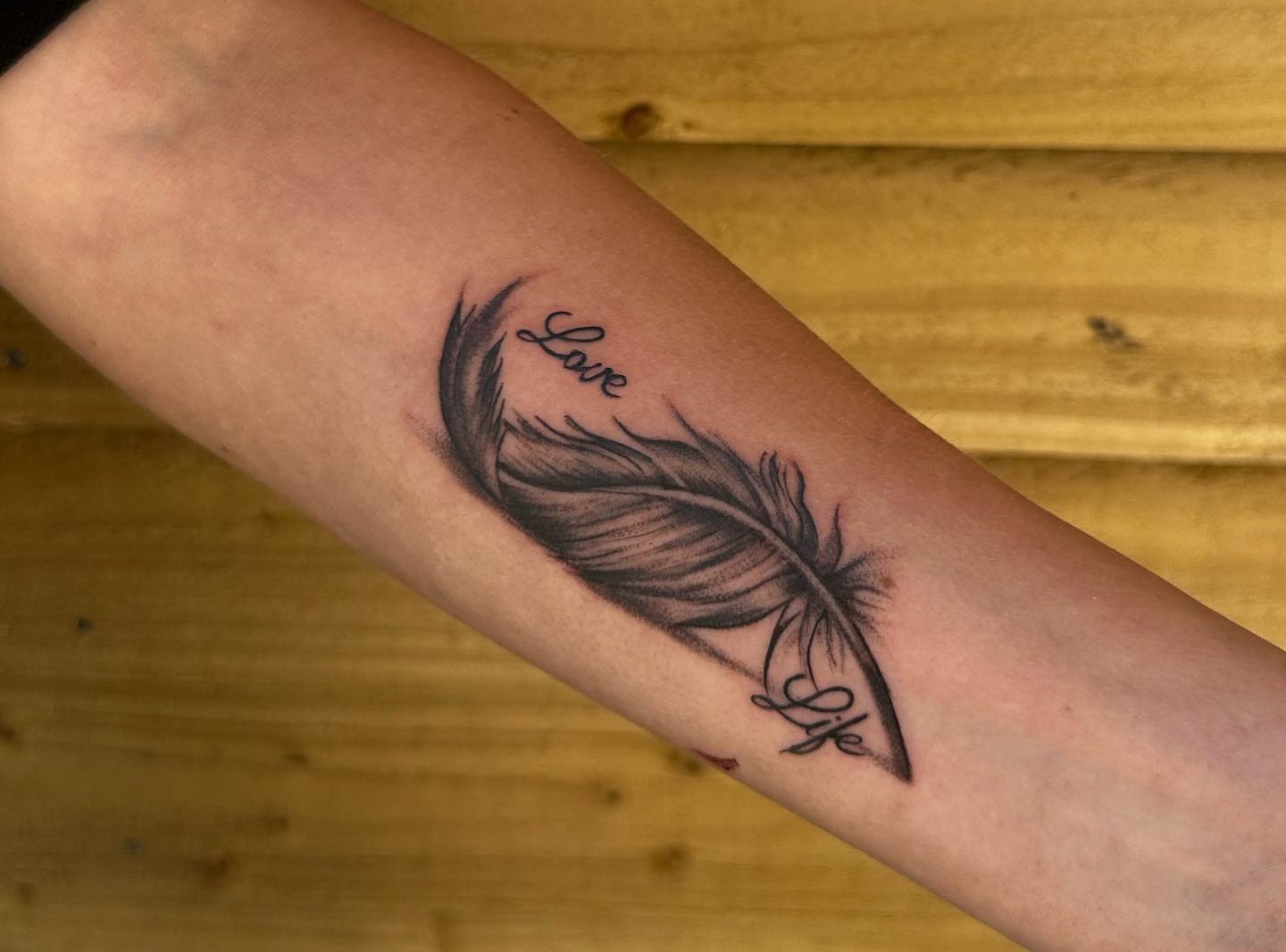 Buy Feather Tattoo Design White Background PNG File Download Online in  India - Etsy