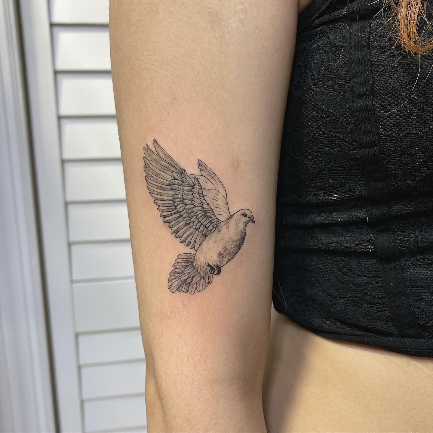 Amazing Dove Tattoo Designs & Their Meaning