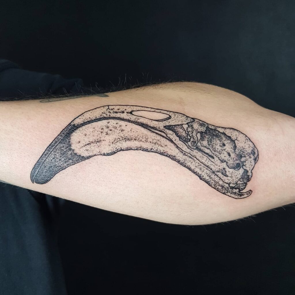 Flamingo Skull Tattoo