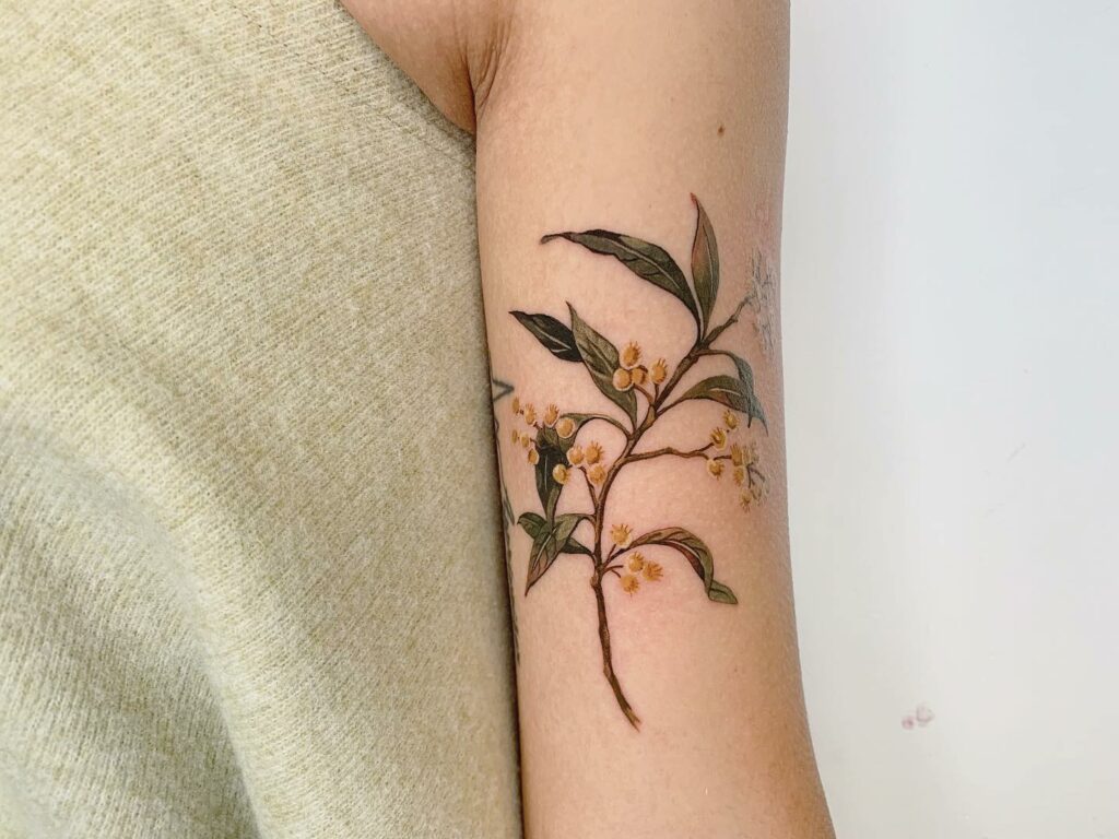 Acacia Flower Tattoo